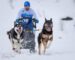 Siberi haskid koeraspordi võistlustel