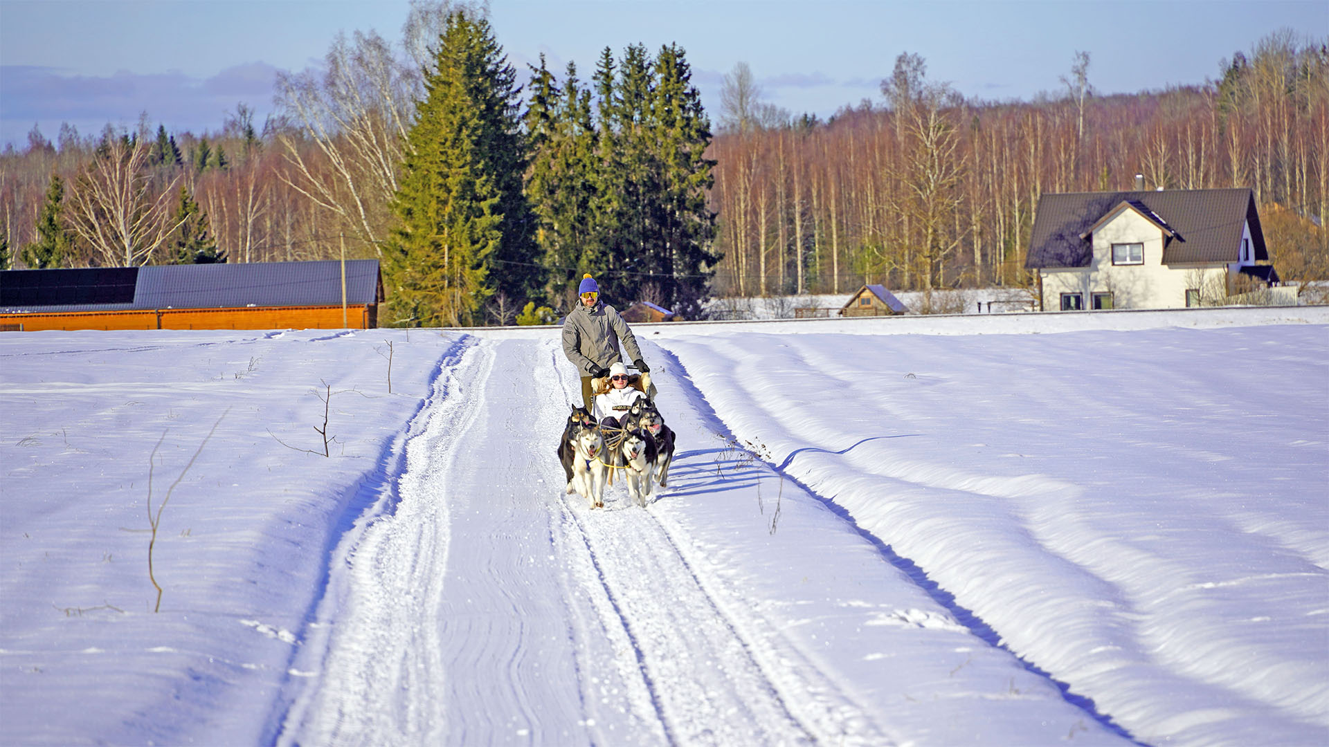 kodukale1920x1080 RIDE WITH SIBERIAN HUSKIES - Image 1